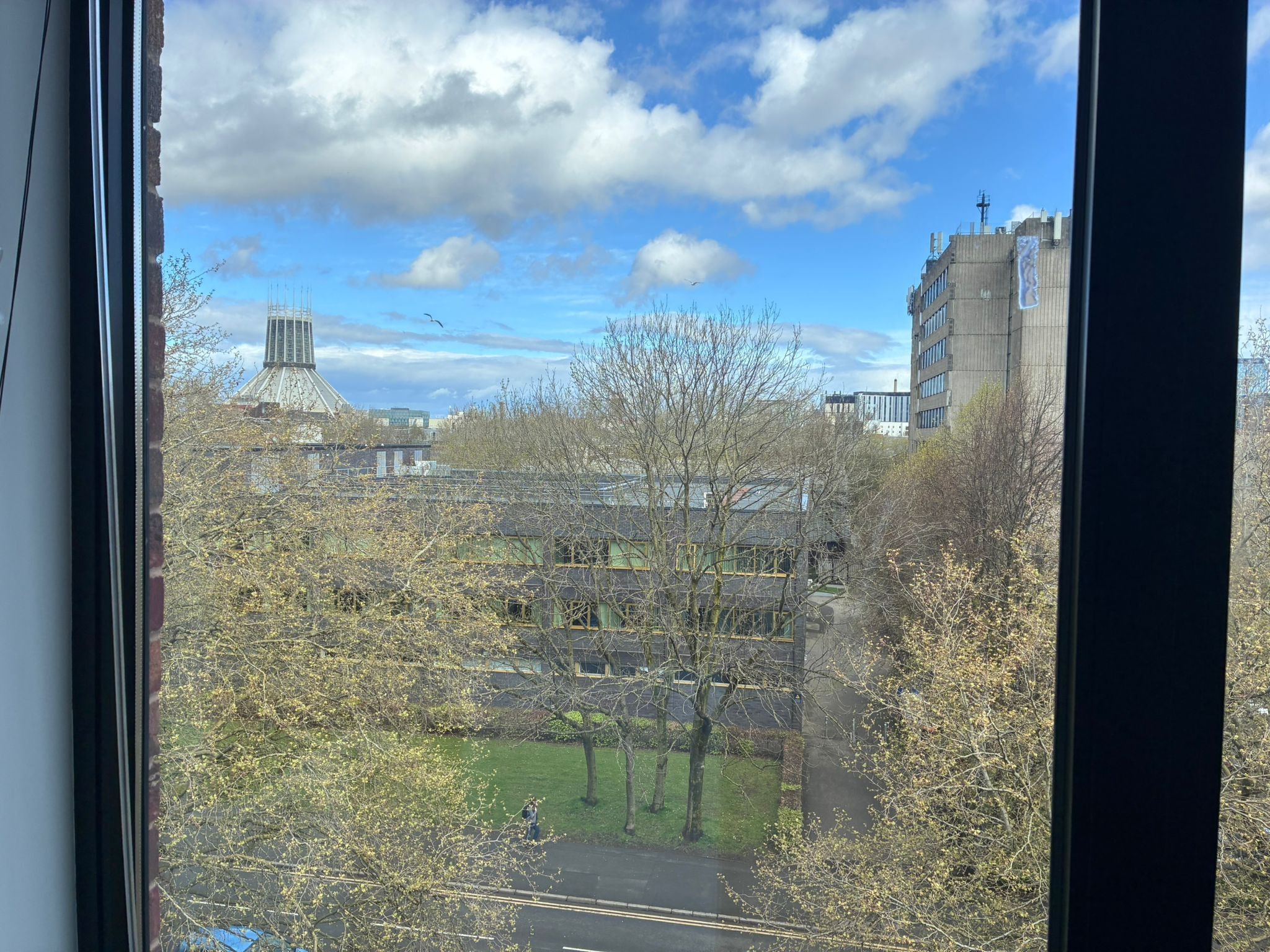 View